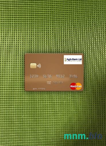 Gambia Arab Gambia Islamic bank wygląd zdjęcia mastercard skan PSD + zdjęcie